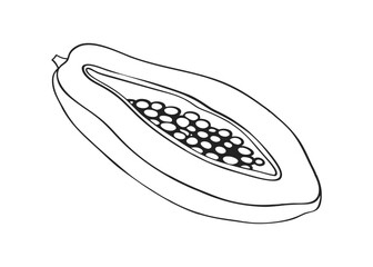 Papaya Fruit with Slice Vector Illustration
