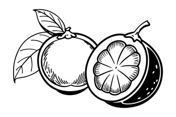 Line Art of Mangosteen Fruit with Slice Vector Illustration