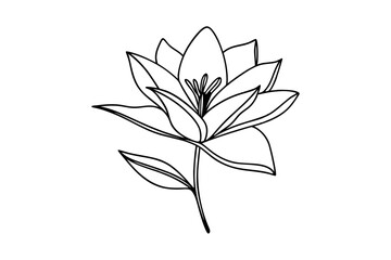 Vector illustration of a flower