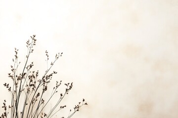 Fototapeta premium dusty mauve taupe glowing haze background