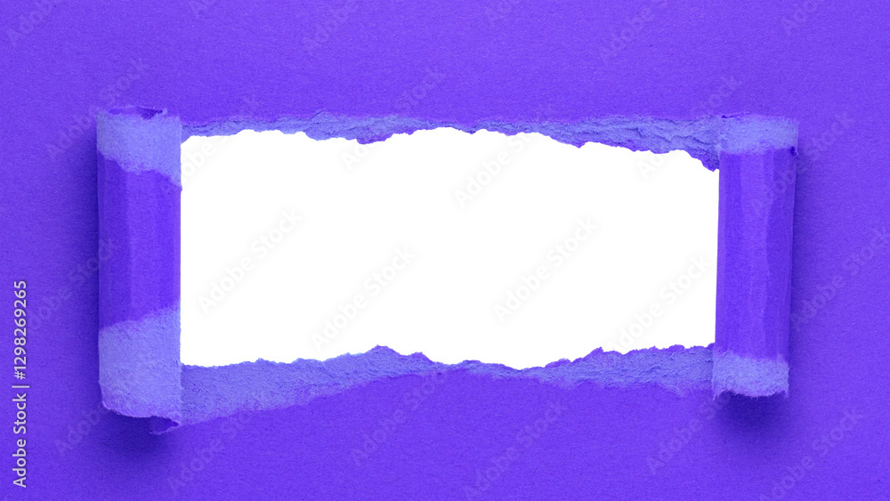 Aufkleber purple torn curled paper or cardboard message backdrop with rough edges and blank copy space for tex