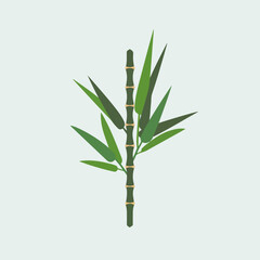A Flat-Style Bamboo stalk segment on a Plain White Background