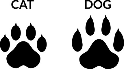 Cat and dog claw marks animal paw prints