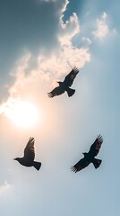 Fototapeta premium Three birds soar through a partly cloudy sky