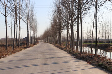 Fototapeta premium path in the park