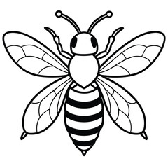 Bee isolated on white background 