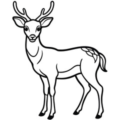 deer vector illustration