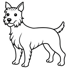 vector illustration of a small dog