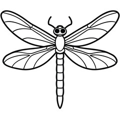 Dragonfly isolated on white background 