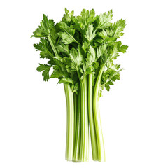 A fresh bunch of green, giant celery against a transparent background,