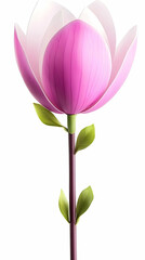 Fototapeta premium Pink Magnolia Bloom 3D Illustration