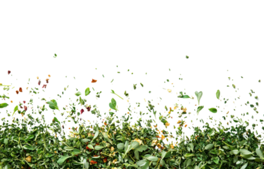 scattering of mixed chopped dried green herbs on transparent background, showcasing vibrant colors and textures that evoke sense of freshness and natural ingredients