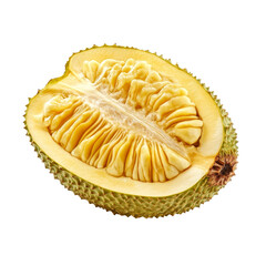 Fototapeta premium Half a ripe jackfruit on a clean transparent background showcasing its unique texture and vibrant yellow flesh, ripe half Jackfruit isolated on transparent background