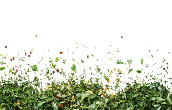 scattering of mixed chopped dried green herbs on transparent background, showcasing vibrant colors and textures that evoke sense of freshness and natural ingredients