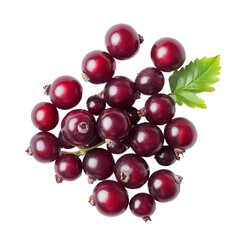 Fototapeta premium Fresh bengal currants and carandas plum bunch isolated on a transparent background, bengalcurrants, carandasplum, isolated on transparent background