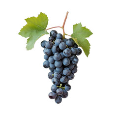 Fresh black grapes with green leaves arranged on a clean transparent background for a vibrant and healthy display, grapes on transparent background