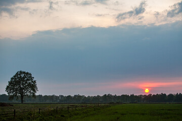 A peaceful sunset gracefully casts warm hues over a vast landscape, featuring a solitary tree standing elegantly