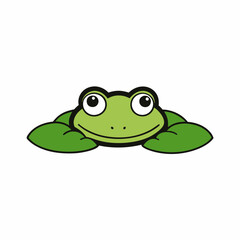 frog on white background