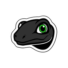 frog on a white background