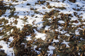 Winter at the end of February. Snow underfoot and dried fallen leaves and grass.