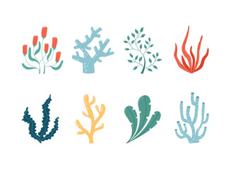 Set of Sea and Ocean Seaweed Illustrations. Stylized Vector Art in Bright Modern Colors