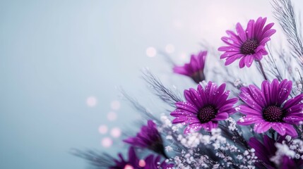 Floral Symphony: Close-up of vibrant purple daisy flowers gracefully arranged against a soft blue background, evoking feelings of tranquility and the freshness of nature.