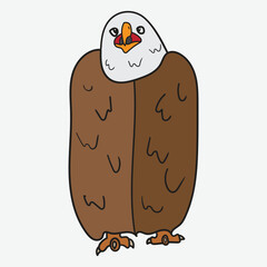 little cute eagle with white Background