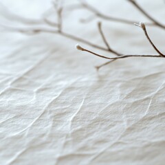 Obraz premium winter branches on textured paper background