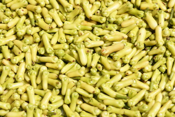 cloves. closeup image background