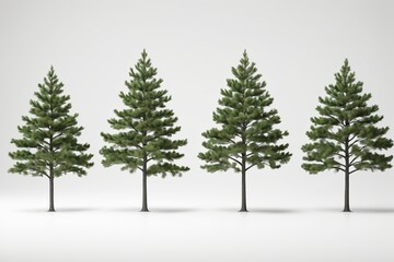 Fototapeta premium arafed image of a row of trees with a white background