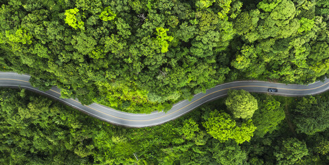 Adventure morning road trip in the forest, electric vehicle driving on asphalt road through green forest.	