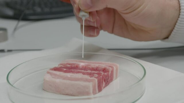 Near-infrared spectroscopy (NIRS) analysis of pork fat and water content using a precision probe in a laboratory setting