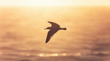 Fototapeta premium Soaring bird against golden sunset, capturing freedom and tranqu