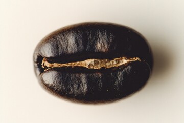 Close up of a single roasted coffee bean showcasing its rich brown color, smooth texture, and natural imperfections, perfect for coffee enthusiasts and food photography