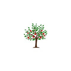 Obraz premium Apple fruit tree icon isolated on white background