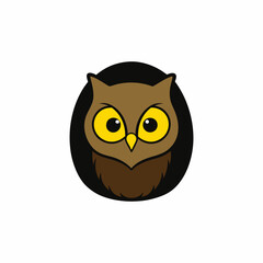 owl on a white background