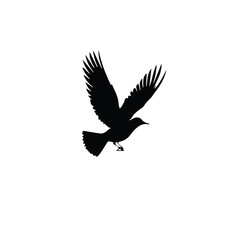 Obraz premium Silhouette of a bird in flight