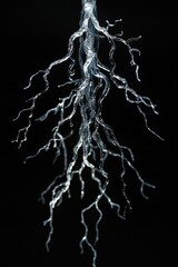 A close-up shot of a plant against a dark background, great for highlighting details or as a subtle design element