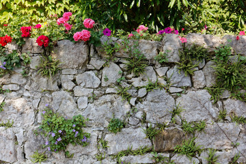 Exterior stone wall in a garden decorated with beautiful flowers