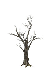 A dry tree stands alone in the barren landscape, a symbol of resilience and struggle.