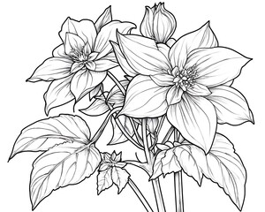 Line art flowering plant, blossoming, isolated white background, illustration for coloring page
