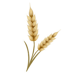 Watercolor ears of wheat. Rye ears with whole grain.