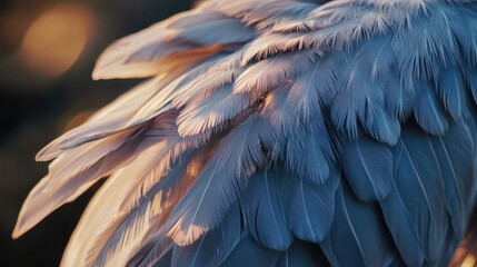 Fototapeta premium A detailed view of a blue bird's plumage