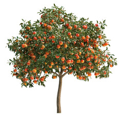 Single tree on transparent background