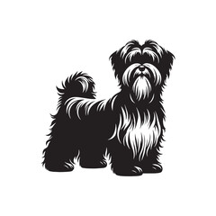 Dandie Dinmont Terrier Dog Vector - Dandie Dinmont Terrier Dog Silhouette - Dandie Dinmont Terrier Illustration.
