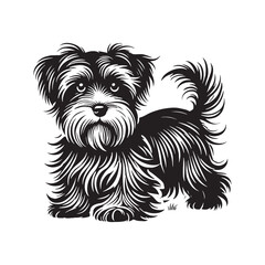 Dandie Dinmont Terrier Dog Vector - Dandie Dinmont Terrier Dog Silhouette - Dandie Dinmont Terrier Illustration.