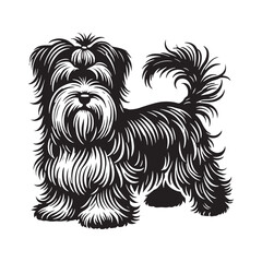 Dandie Dinmont Terrier Dog Vector - Dandie Dinmont Terrier Dog Silhouette - Dandie Dinmont Terrier Illustration.