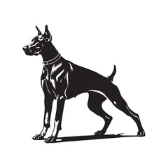 Doberman Pinscher Dog Vector - Silhouette of Doberman Pinscher Dog - Doberman Pinscher Dog Illustration.