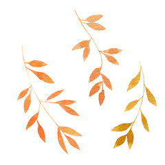 twigs with yellow and orange leaves. hand painted with watercolors, delicate and light. For gift or packaging