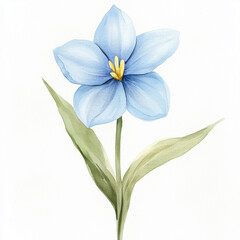 Fototapeta premium Watercolor illustration. One blue spring flower with green leaves isolated on white background. Aquarelle sketch. Blurred paint.